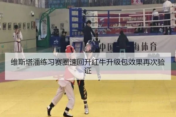 维斯塔潘练习赛圈速回升红牛升级包效果再次验证